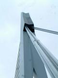 DSCF0728.jpg
