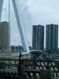 DSCF0755.jpg