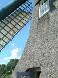 DSCF1151.jpg