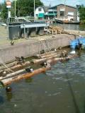 DSCF1176.jpg