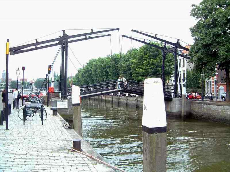 DSCF0803.jpg