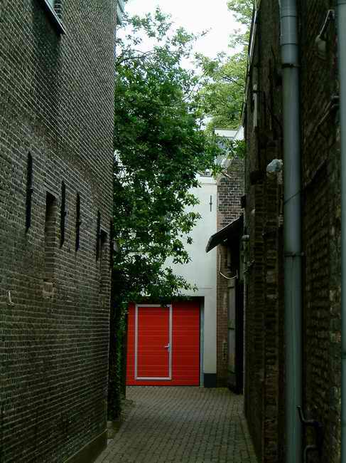 DSCF0814.jpg