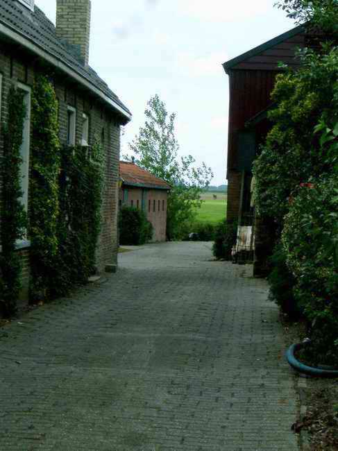 DSCF1076.jpg