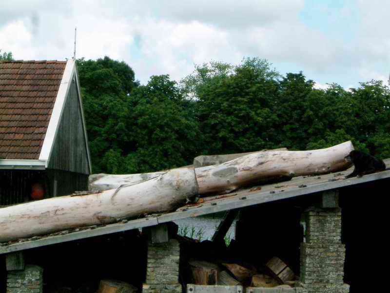 DSCF1083.jpg