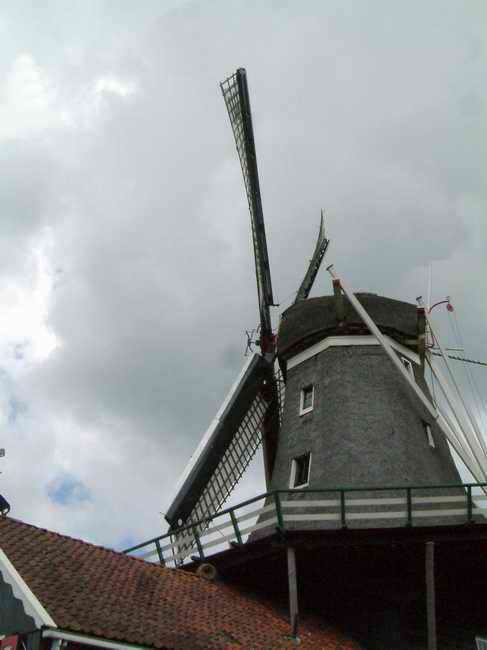 DSCF1084.jpg