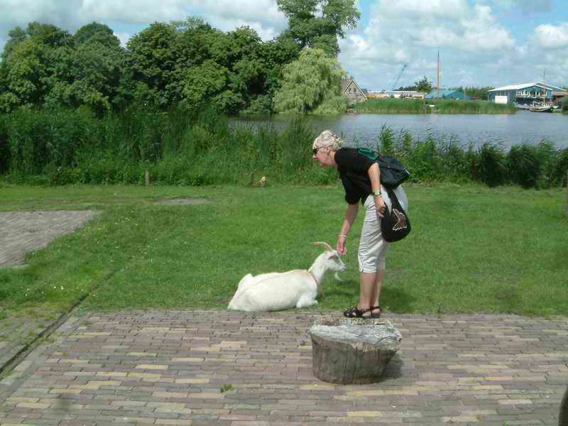 DSCF1086.jpg
