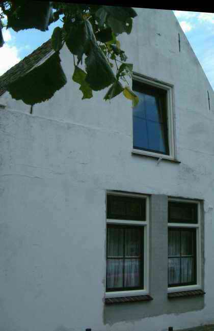DSCF1113.jpg