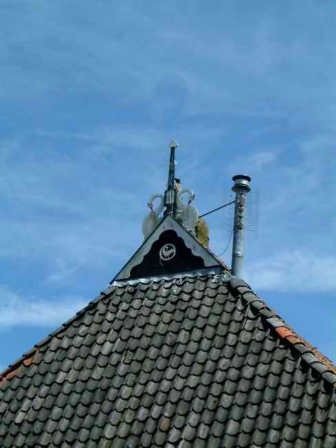 DSCF1134.jpg