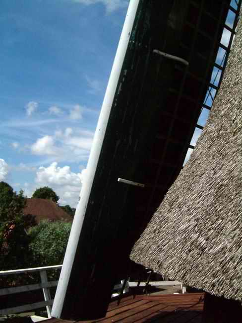 DSCF1154.jpg