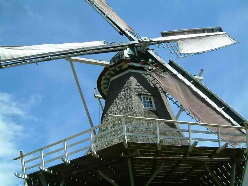 DSCF1167.jpg