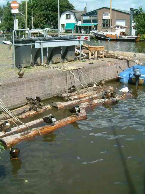 DSCF1176.jpg
