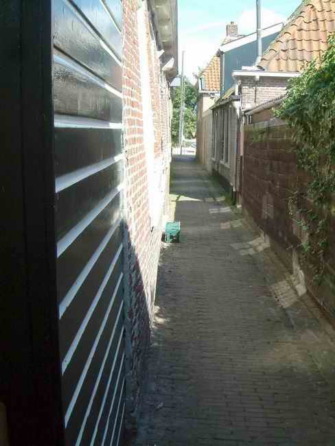 DSCF1295.jpg