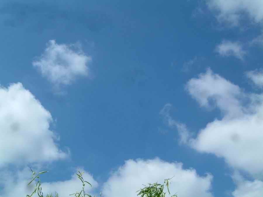 DSCF1318.jpg
