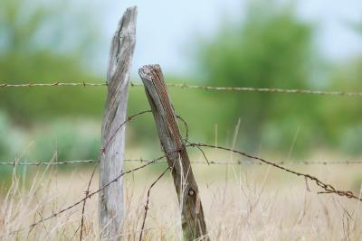 New-Guard-Post-II