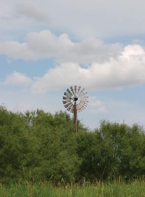 River-Road-Windmill-II