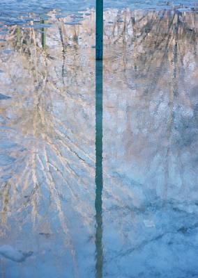 Winterflection