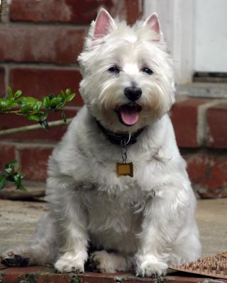 abby75-300IS1.4.JPG
