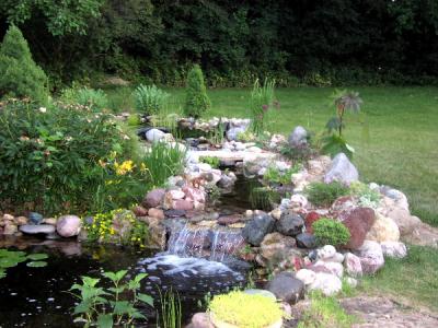 u30/karenfrogpond/medium/18558919.7_02_03_Stream.jpg