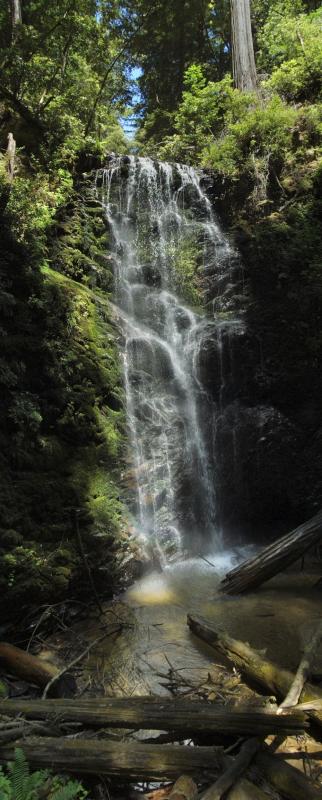 Berry Creek Falls Fit Width_155265ps final0306201212.jpg