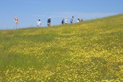 21  Group on wildflower walk_6198`0204131008.JPG