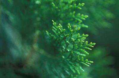 Image327.jpg