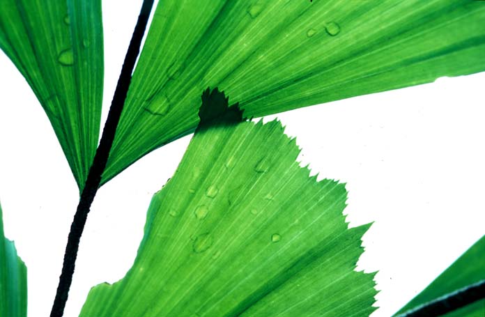 Image33.jpg