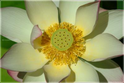 DSCF8695.jpg