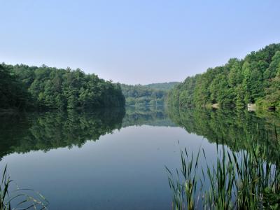 Long Branch Lake - Summer 2003