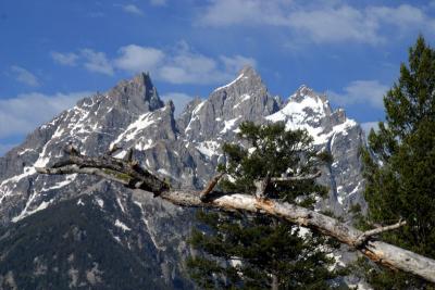 Tetons 3780