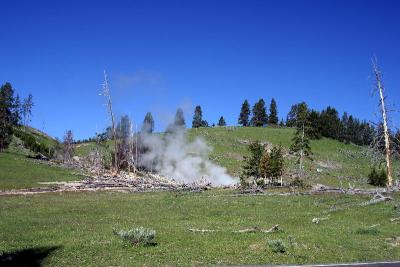 Yellowstone Geyser3947