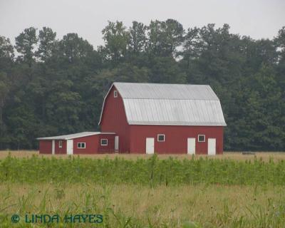 Misty St.M Barn