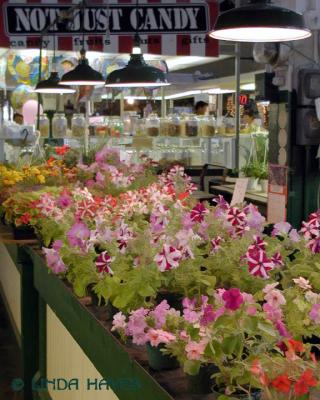 FARMERS' MARKETS GALLERY