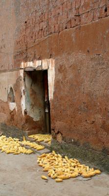 Corn drying in Kunming