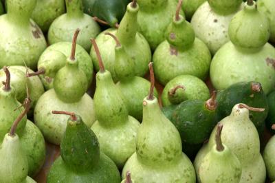 Gourds