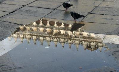 Reflection - Piazza San Marco, Venice
