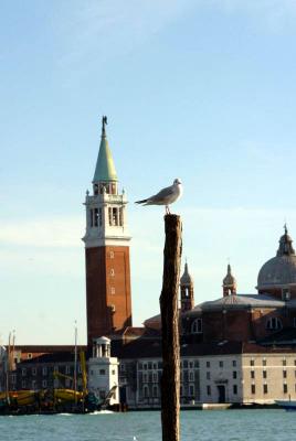 View Across the Grand Canal, Venice