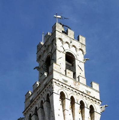 Campanile Palazzo Publico, Siena