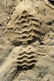 FootPrint in the Desert Sand