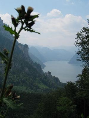 Traunsee