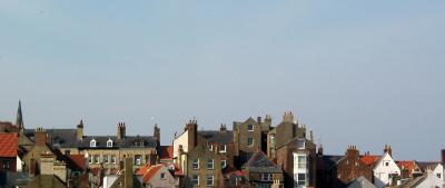 whitby-roofs-1.jpg
