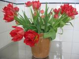 bloemen dag drie