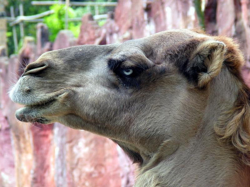06-23-2003 the ZOO 0048-PSE.jpg