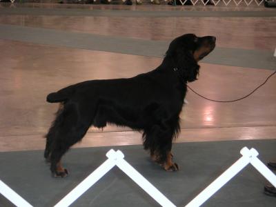 2003_fssa_national