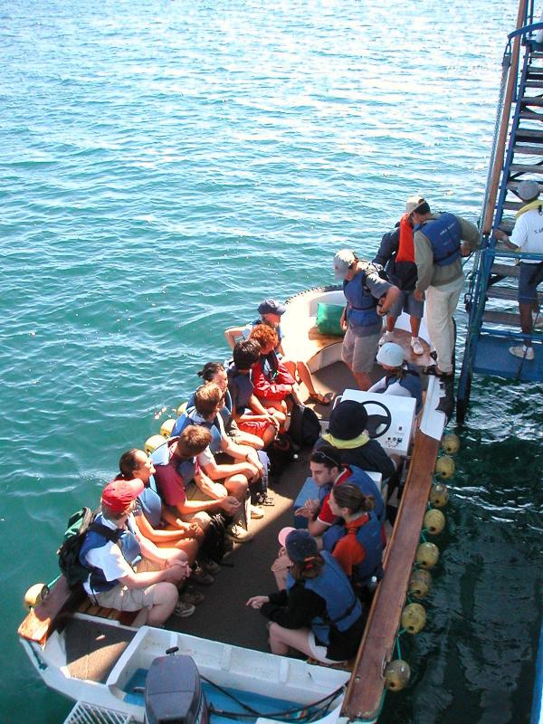 Loading a panga