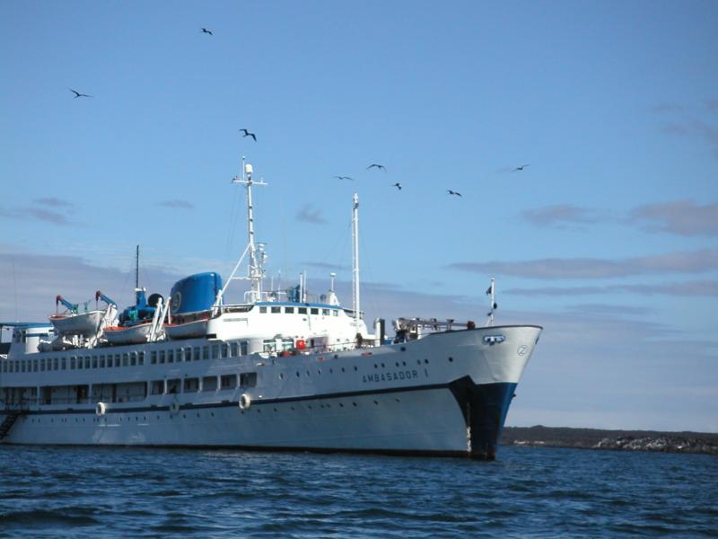 Frigatebirds above the ship