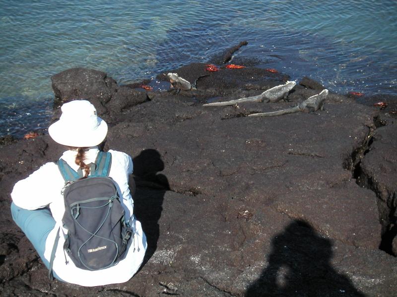 Jackie contemplates iguanas