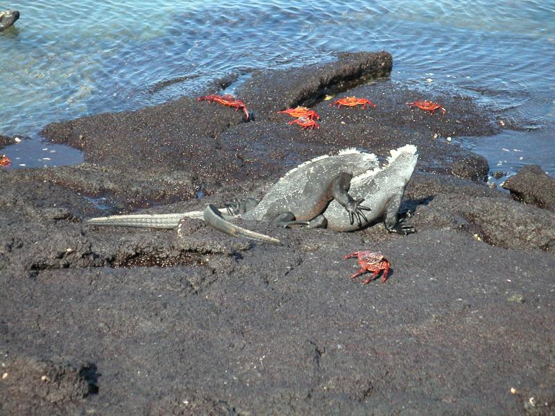 No, they're just friendly