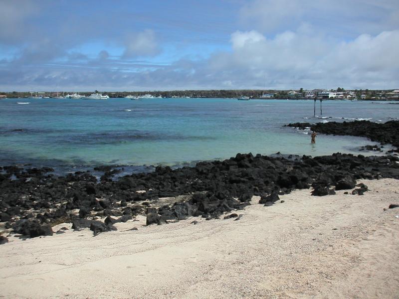 Beach at the Charles Darwin Centre
