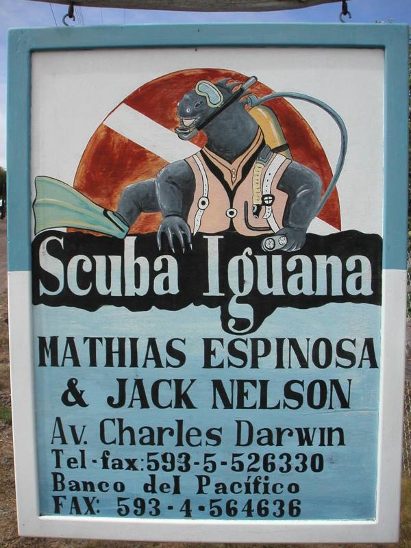 Scuba Iguana
