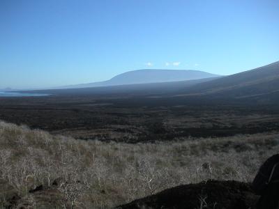 Isabela Island lava fields
